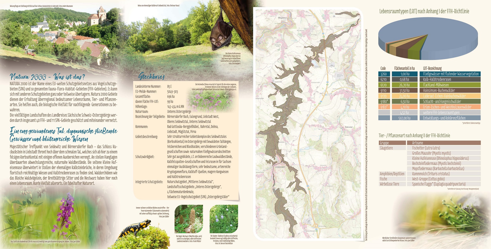 tl_files/downloads/Bilder Projekte/Projektstellen/Natura 2000 1.0/Flyer/Seidewitztal_2.jpg